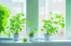 Ein lichtdurchfluteter, moderner Serverraum mit frischem Grün in Form von Pflanzen, sanfter Sonnenstrahl fällt durch große Fenster auf glänzende, energieeffiziente Rechenzentren, während im Vordergrund eine zufriedene Technikerin mit Tablet die nachhaltige Digitalisierung symbolisiert – warm, einladend und zukunftsorientiert.