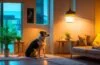 Ein warm beleuchtetes Wohnzimmer mit einem modernen, freundlichen KI-Roboterhund, der aufmerksam neben einer lächelnden älteren Person sitzt, während sanftes Tageslicht durch große Fenster fällt und eine Atmosphäre von Geborgenheit und Alltagsintelligenz schafft.