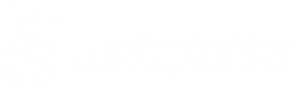 WebPionier.AI