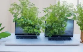Ein sonnendurchfluteter, moderner Arbeitsplatz mit einem aufgeklappten Laptop, auf dem ein übersichtliches Sicherheitsprogramm zu sehen ist, umgeben von freundlichen Pflanzen und warmem Tageslicht, das eine positive und vertrauensvolle Stimmung für digitalen Schutz und Cyber-Sicherheit vermittelt.