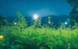 Ein strahlendes, editorial fotografiertes Luftbild eines modernen Rechenzentrums inmitten grüner Energieanlagen bei sanft leuchtendem Sonnenlicht, das optimismusschwanger die nachhaltige Symbiose von Hochtechnologie und erneuerbarer Energie in Manchesters Zukunftsvision einfängt.